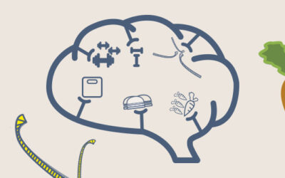 Cómo detectar un trastorno de la conducta alimentaria