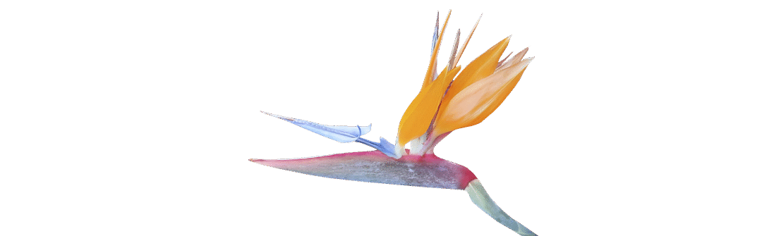 La equidad: el sano sentido de la justicia