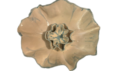 Repercusión de la química cerebral en el día a día de los TCA